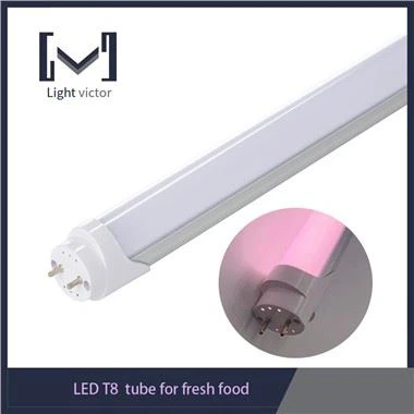 Fris LED T8-buislicht